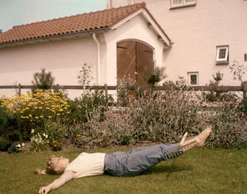 Gymnastics for housewives without leaving the daily routine