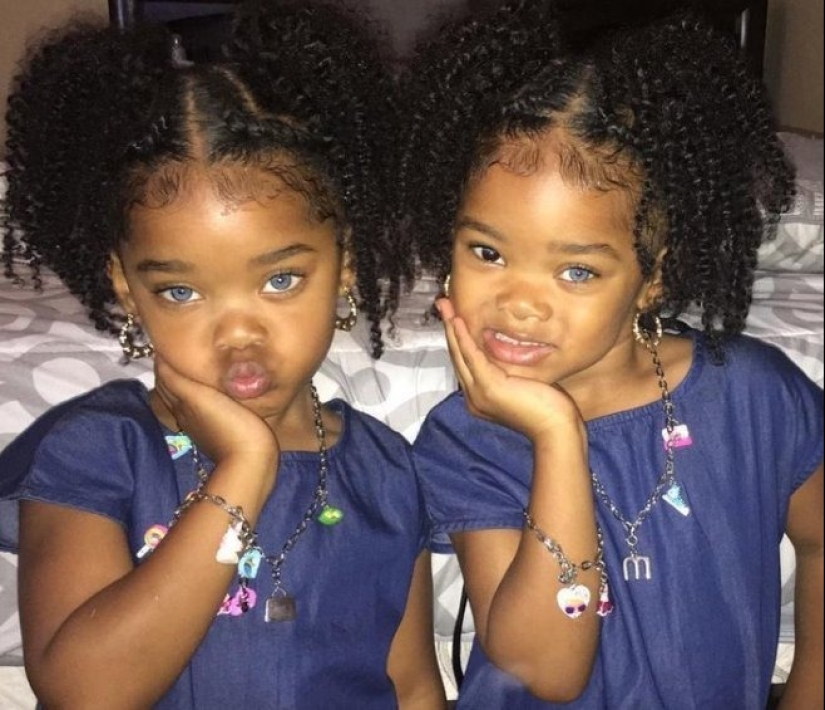 Han pasado 12 años, las hermanas gemelas con diferentes colores de ojos han crecido y se han convertido en bellezas.