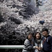 Hanami is a Japanese tradition of cherry blossom viewing.