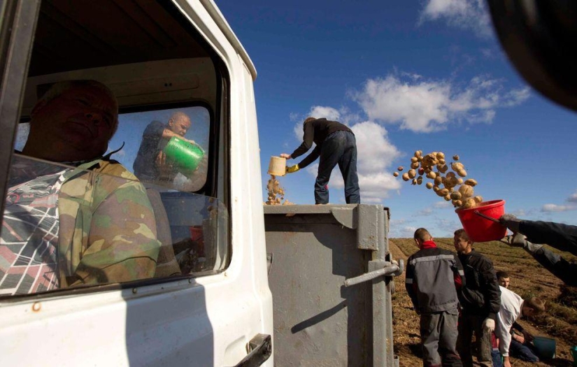 Harvest 2013