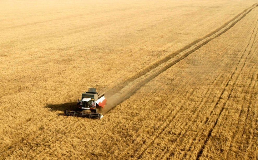 Harvest 2013