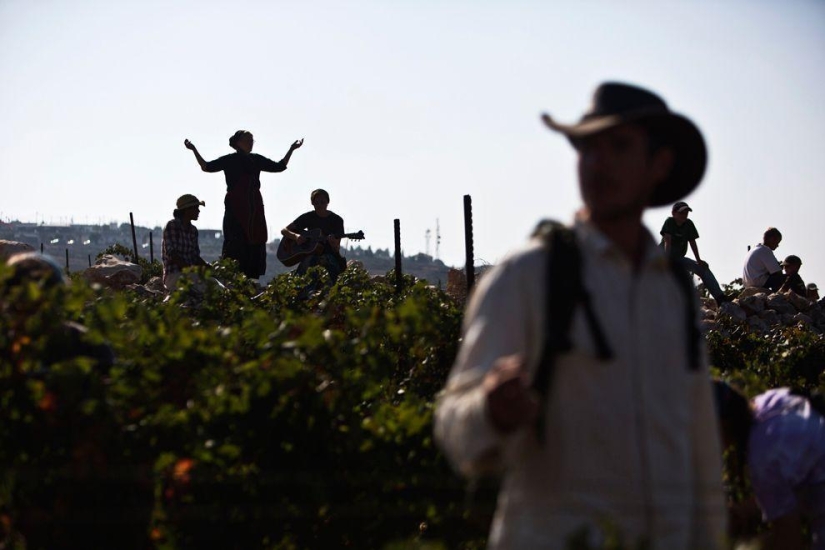 Harvest 2013