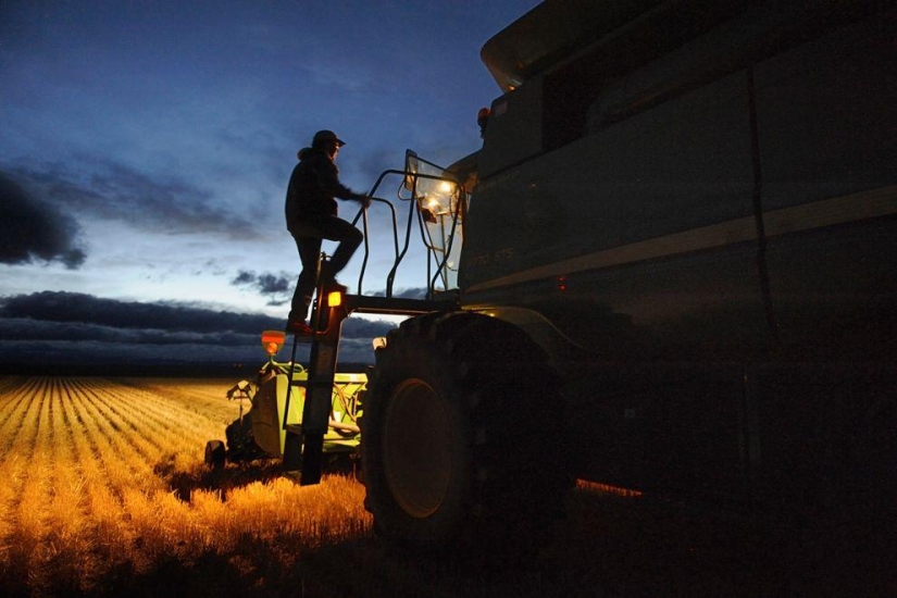 Harvest 2013