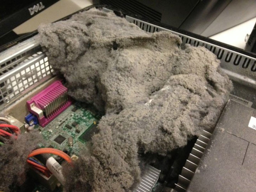 "He was recently cleaned," or the Harsh everyday life of a computer equipment repairman