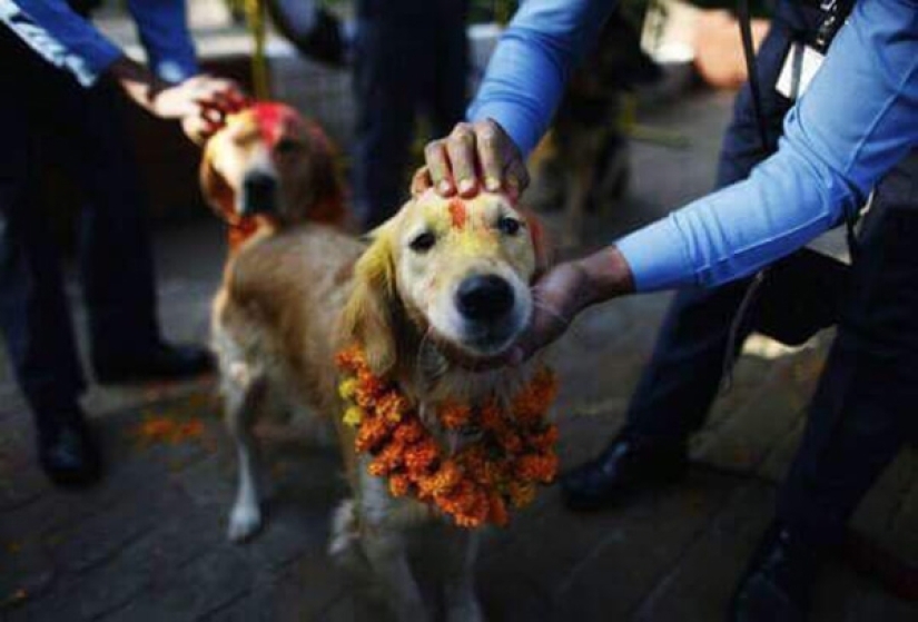 Hindus have a whole festival to thank dogs for their loyalty and devotion