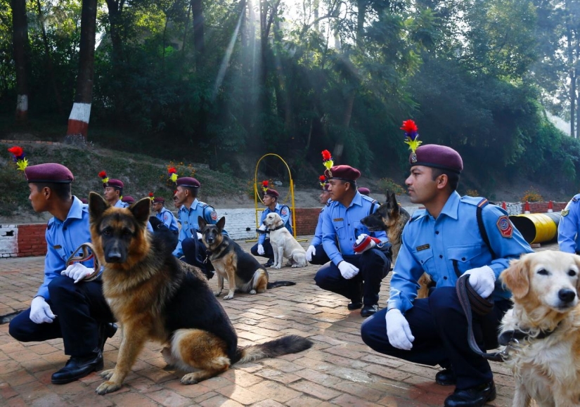 Hindus have a whole festival to thank dogs for their loyalty and devotion