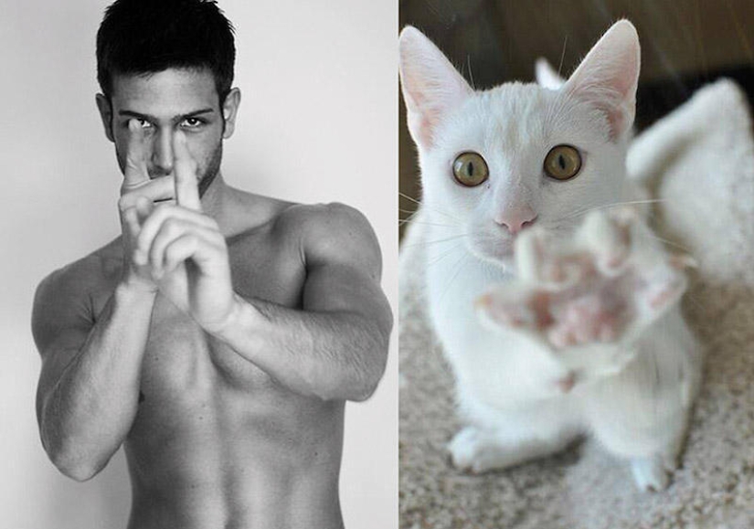 hombres y gatos