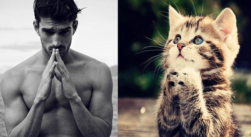 hombres y gatos