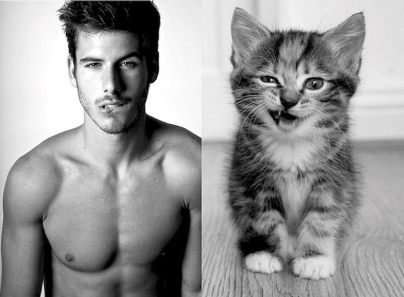 hombres y gatos