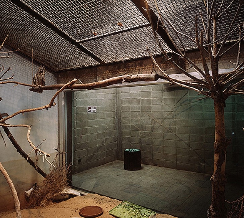 Horrors of zoos from around the world