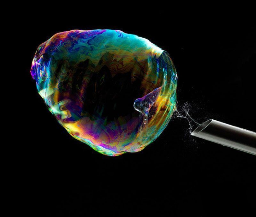 How a bubble bursts