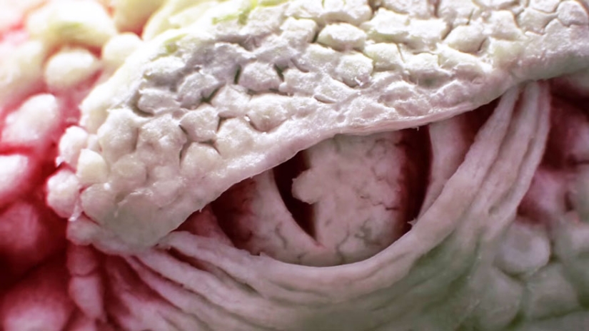 How a watermelon was turned into a creepy dragon