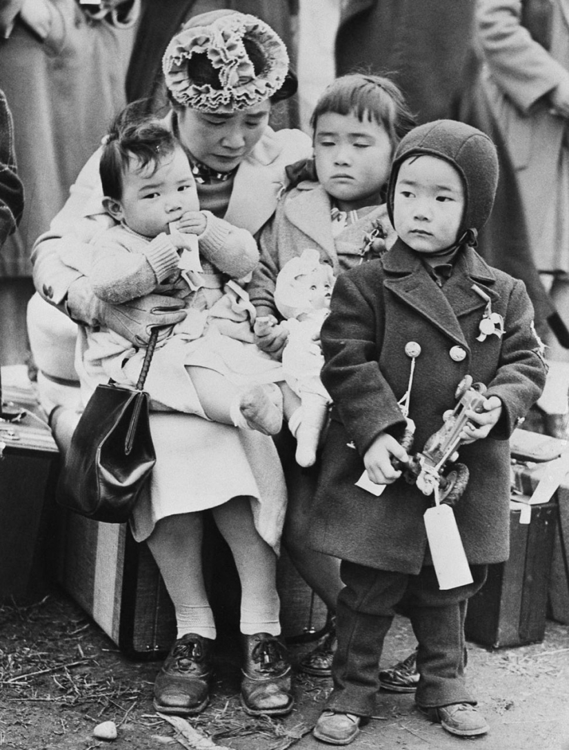 How ethnic Japanese were forced into concentration camps in the United States after Pearl Harbor