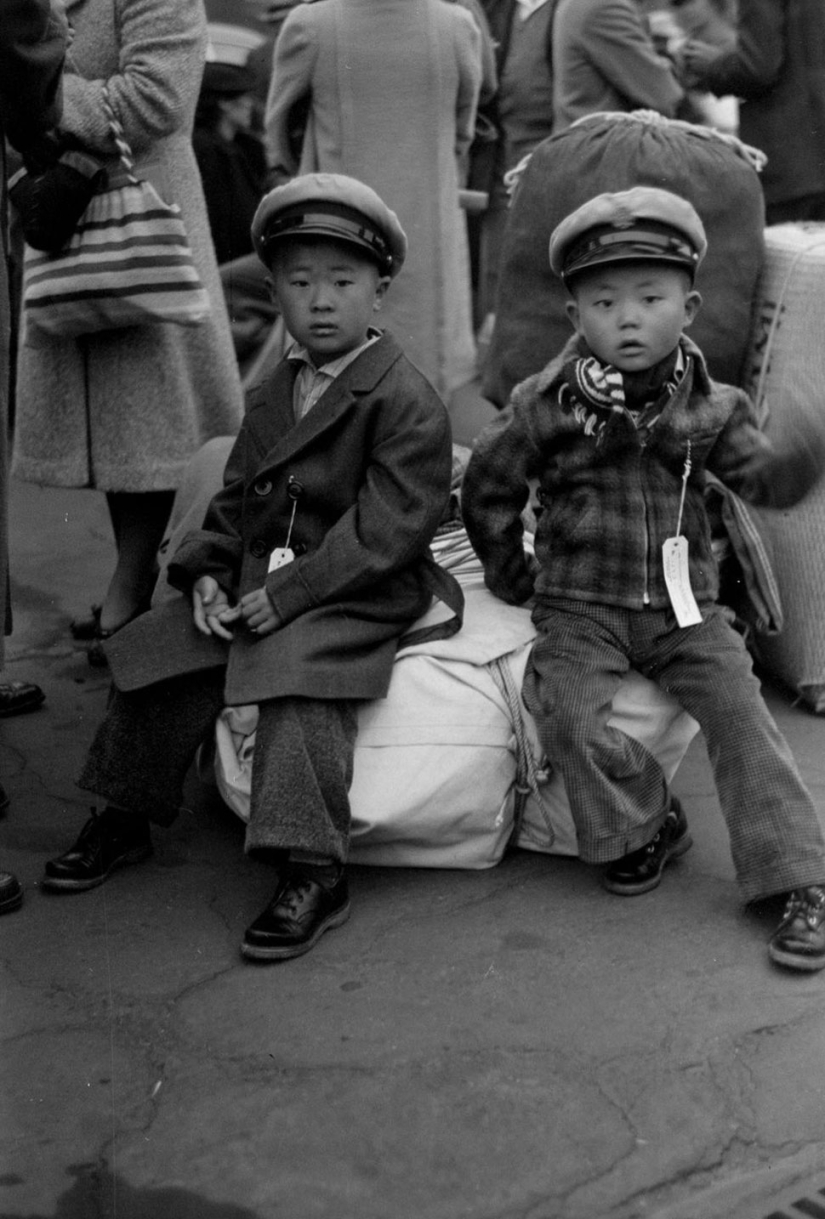 How ethnic Japanese were forced into concentration camps in the United States after Pearl Harbor