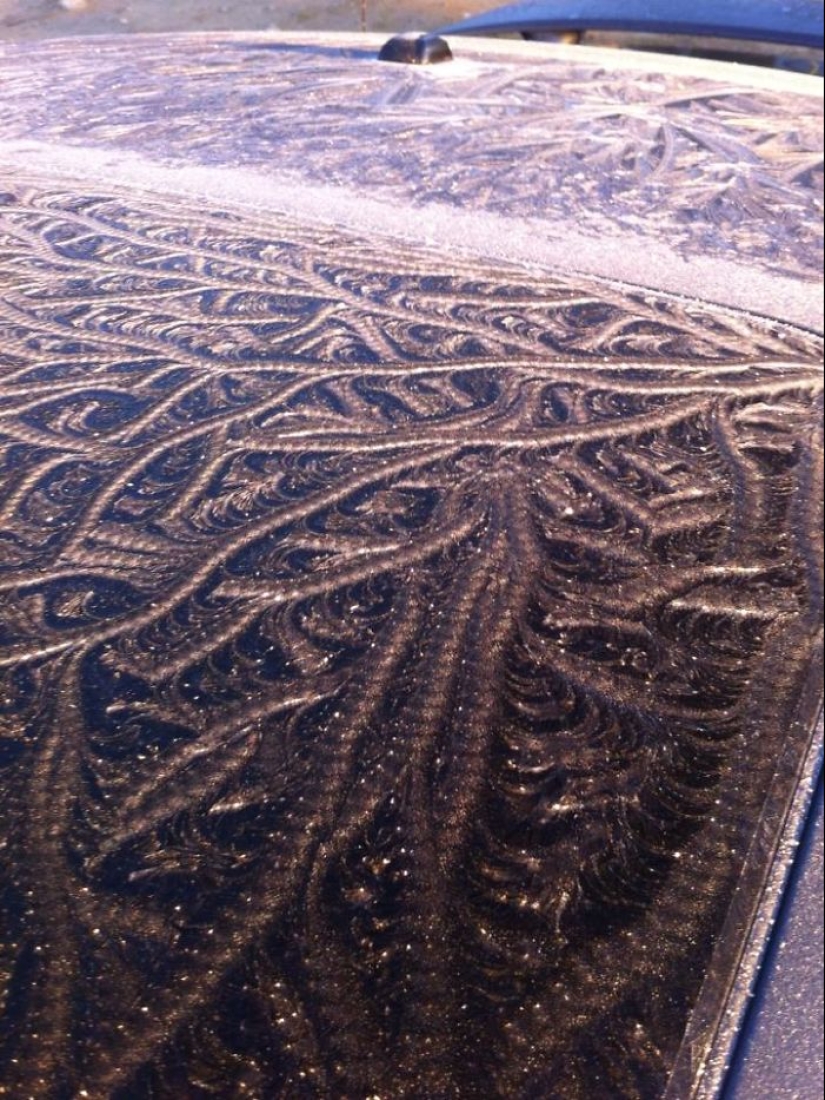 How frost turns cars into art objects