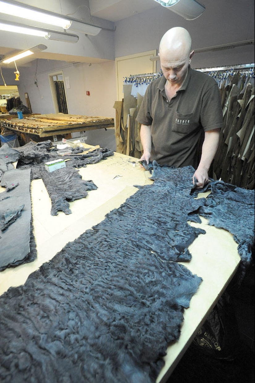 How fur coats are sewn in Russia: from an idea to a hanger