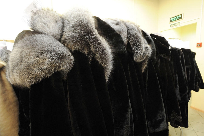 How fur coats are sewn in Russia: from an idea to a hanger