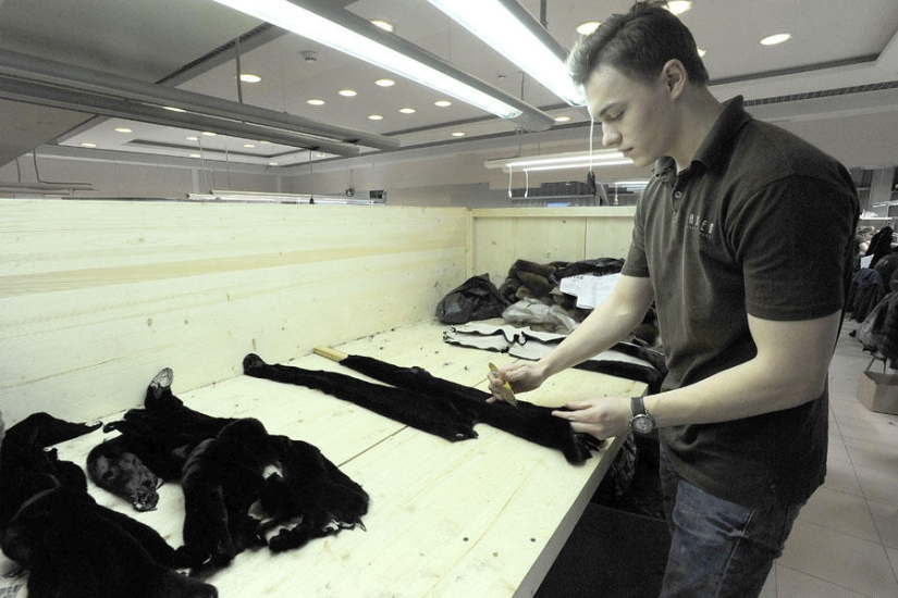 How fur coats are sewn in Russia: from an idea to a hanger