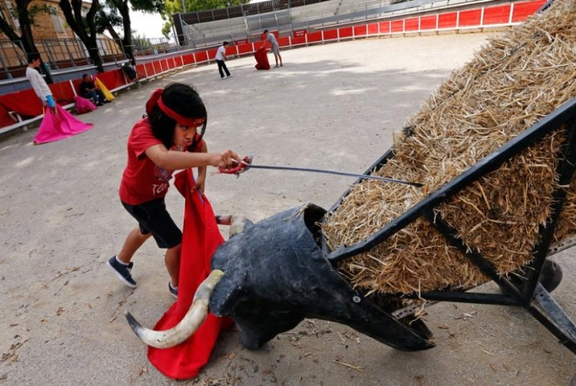 How future bullfighting stars grow