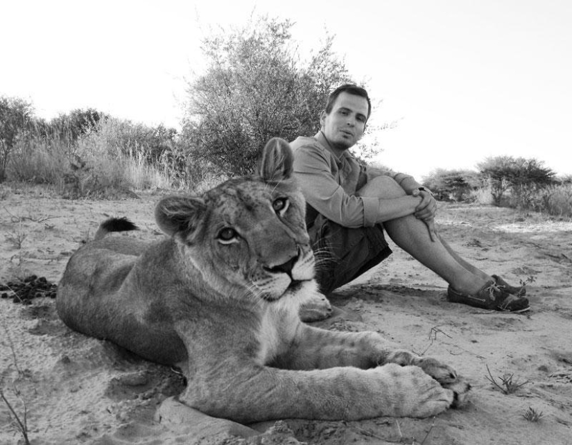 How I lived with lions in Botswana