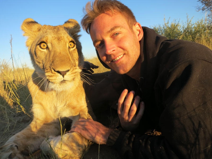 How I lived with lions in Botswana