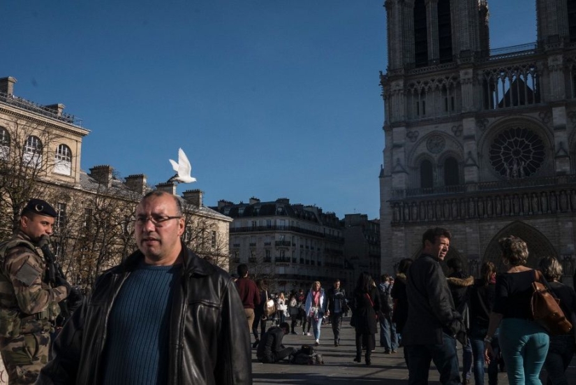 How is life in Paris after the attacks