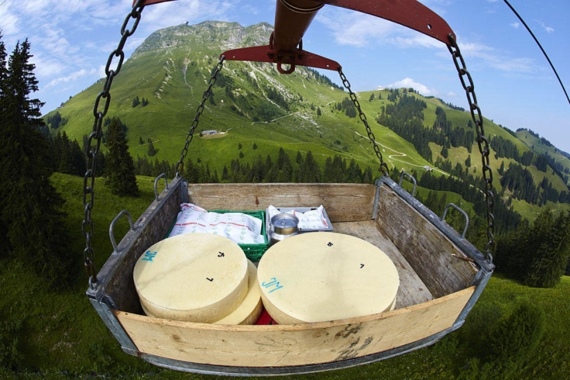 How is Swiss cheese made?