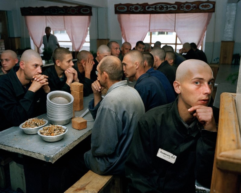 How juvenile prisoners live in Siberian colonies