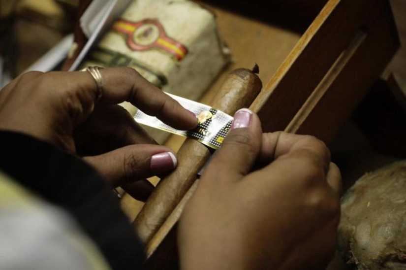 How the best Cuban cigars are made