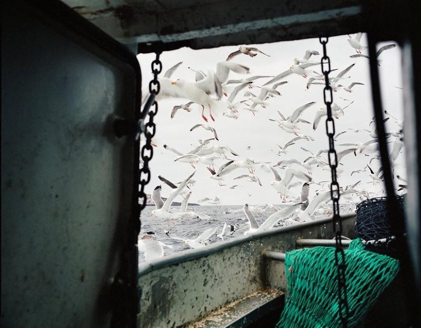 How the fishing communities of the northern seas live