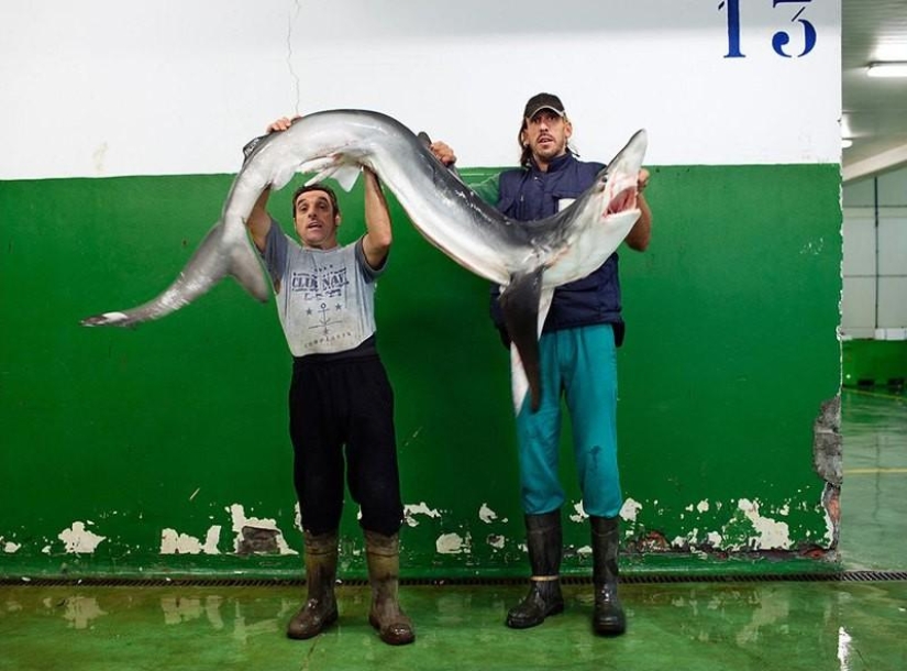 How the fishing communities of the northern seas live