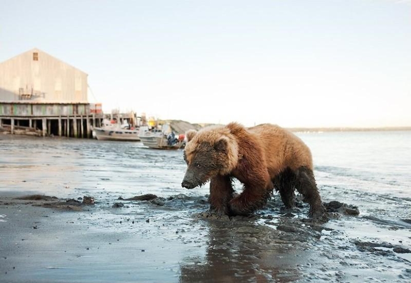 How the fishing communities of the northern seas live