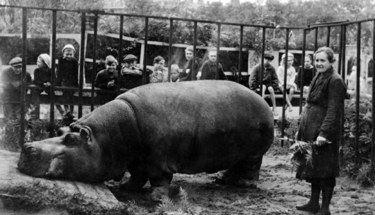 How the Leningrad Zoo survived the blockade