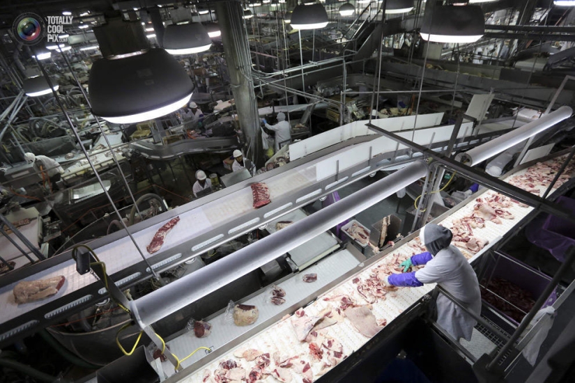 How the meat we eat is made