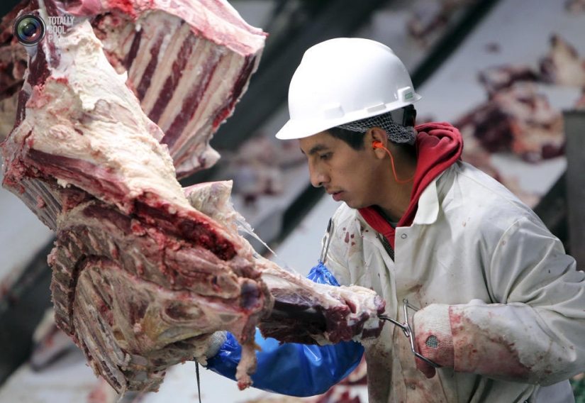 How the meat we eat is made