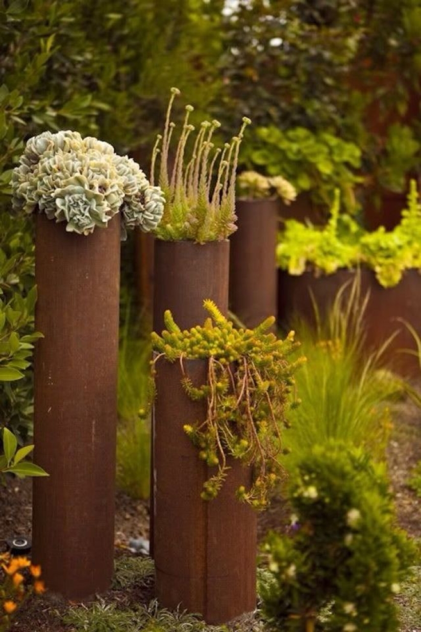 How to create a beautiful, unusual flower bed from improvised materials: 20 examples