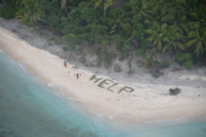 How to escape a desert island with palm branches