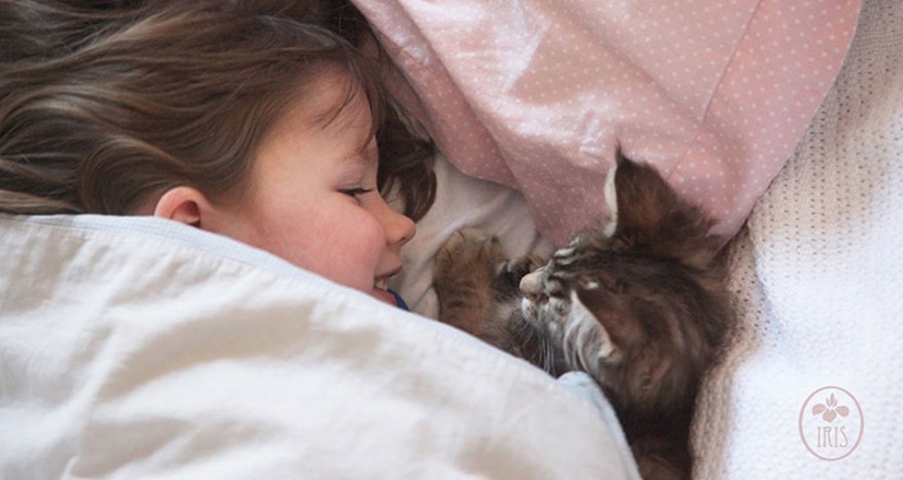 How Tula the cat helps a girl with autism