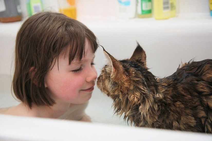 How Tula the cat helps a girl with autism