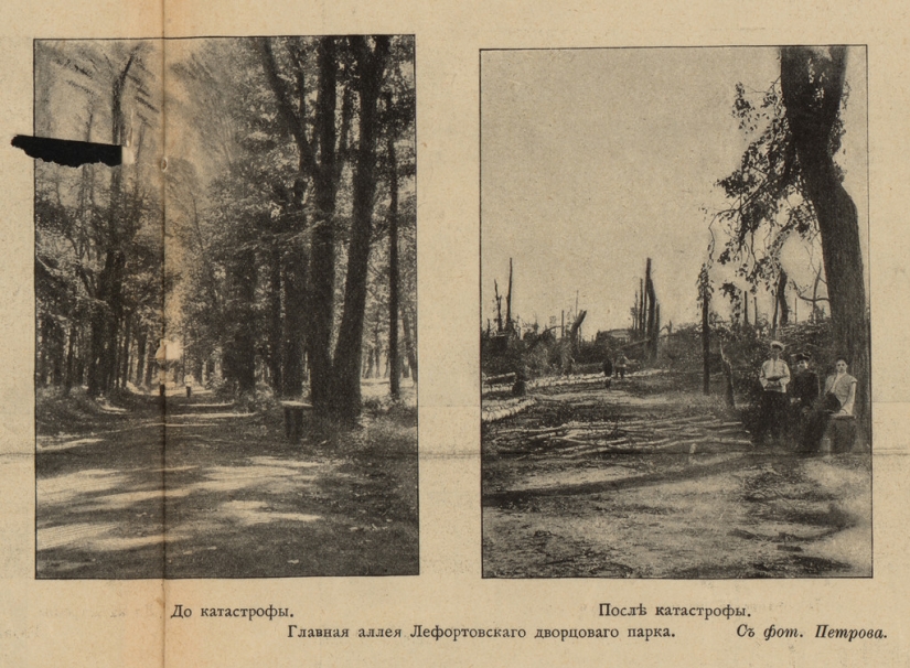 Hurricane of 1904 — the deadliest in Moscow in 100 years