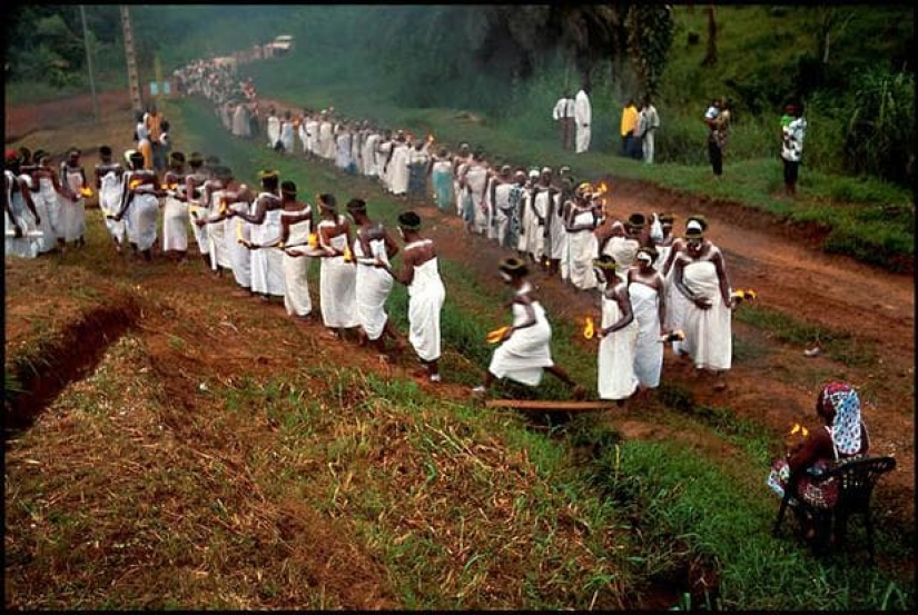 Iboga: cómo un ritual mortal de África se hizo popular en Occidente