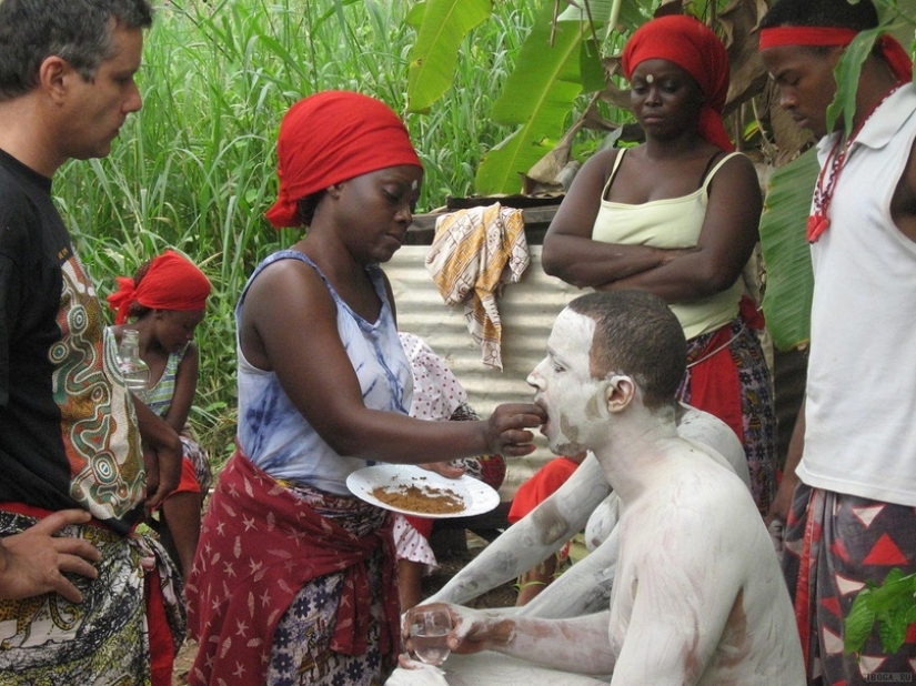 Iboga — how a deadly ritual from Africa became popular in the West