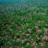 Ida es un campo de refugiados en Sudán del Sur.