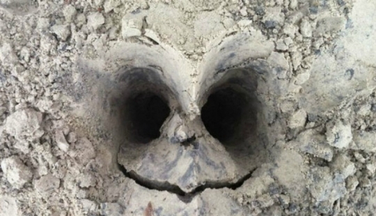 Ilusiones pareidólicas: 18 objetos inanimados que parecen estar vivos