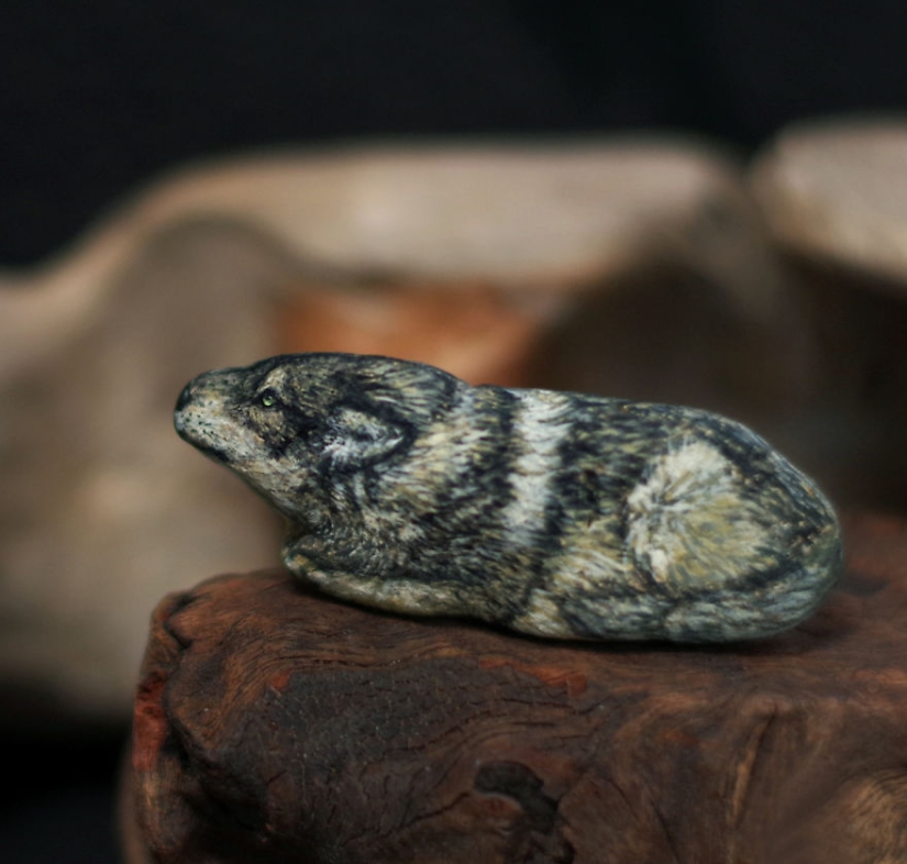 I'm not a cat, don't stroke me — the artist reveals the unique characters of the stones