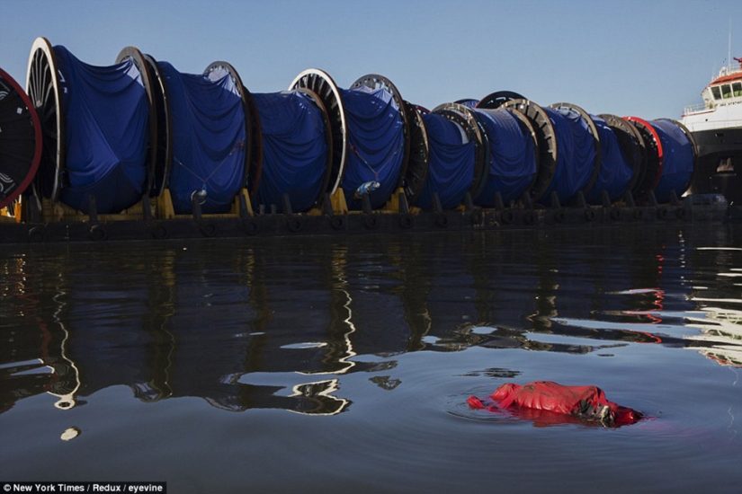 Impactantes imágenes de lo que los atletas tendrán que nadar en Río