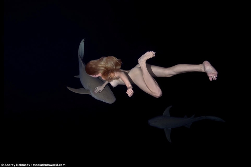 Impresionantes imágenes submarinas: Modelo rusa desnuda nada con tiburones