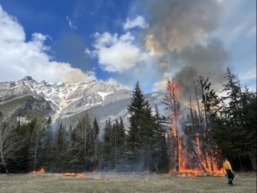 In Canada, female firefighters burned down a national park