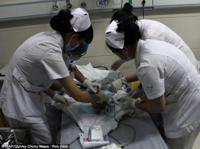 In China, a newborn was rescued after being flushed down the toilet