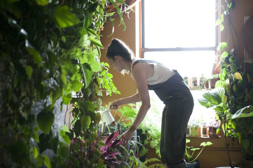 In the urban jungle: a model from New York grows more than 500 plants in an apartment